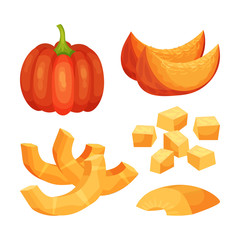 Set of pumpkins. Vector illustration on white background.