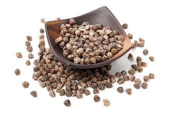 Organic Wingless Moringa (Moringa oleifera) seeds on white background