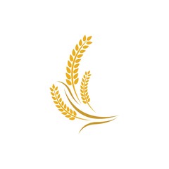 Wheat vector icon illustration design