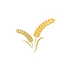 Wheat vector icon illustration design