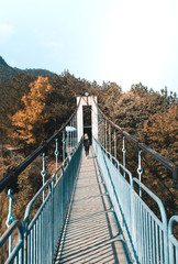Obraz premium Brücke in Herbst
