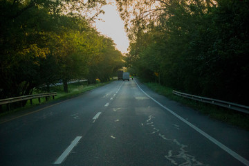 Obraz premium road in the forest
