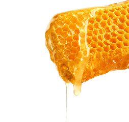 Fresh honeycombs on white background