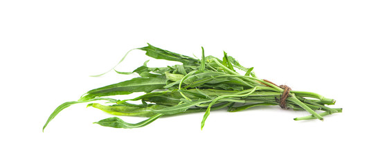 Water spinach , Morning Glory on white background.