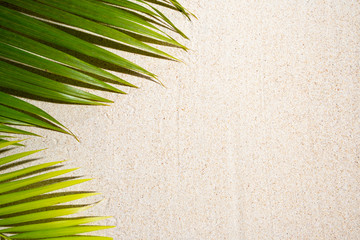 Green palm leafs on white sand with copy space,  top view, flat lay, Tropical, travel concept
