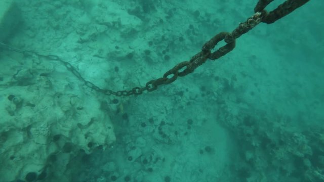 diver descends next to anchor to get close up shots from top to bottom of chain.