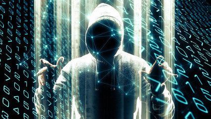 Thieving in cyberspace, hacker and computer code