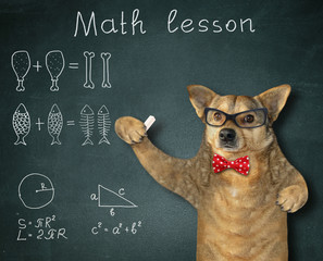The dog teacher in a red bow tie and glasses gives math lesson near the blackboard in the classroom.
