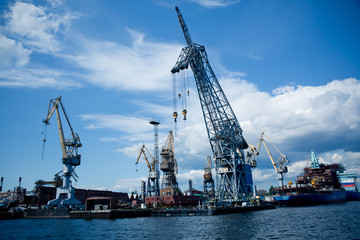 Fototapeta premium cargo port cranes against blue sky