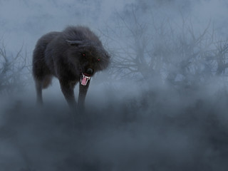 3D rendering of a black wolf with glowing red eyes. © Sarah Holmlund