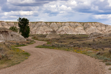 The Badlands of Albert in Canada