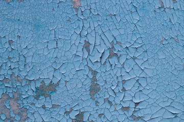 rough background for designers. The texture of the old cracked blue paint. Old broken paint on a concrete wall.
