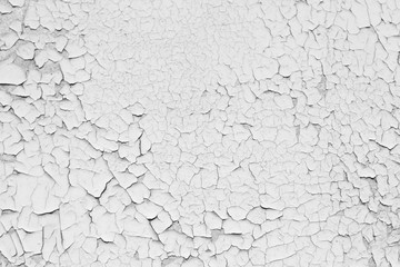 rough background for designers. The texture of the old cracked white paint. Old broken paint on a...