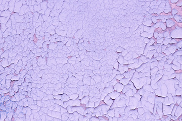 rough background for designers. The texture of the old cracked pink paint. Old broken paint on a concrete wall.