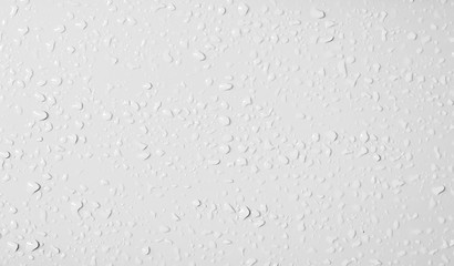 Water drops on a white background