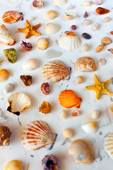 Multicolored shells, sea pebbles and starfishes on a white textural background, exotic seashells collection, close up