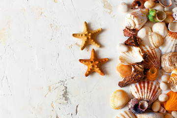 Obraz premium A mound of colorful seashells, sea glasses and starfishes on a white textured background with plaster. Creative vacation background, copy space, top view, close up