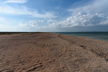 sandy shore and small shells in the sand with clear blue water on a clear sunny day with clouds in the sky.