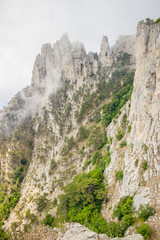 Ai-petri mountain in the fog. High mountain. Crimea. Russian mountains. Low clouds. Beautiful mountain landscape. The famous AI Petri mountain, partially covered with clouds, fog