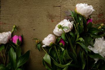 Fresh peony flowers on wooden green background