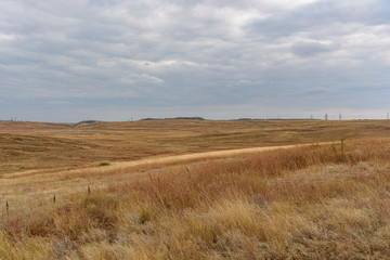 The endless steppe of the Opuksky nature reserve with yellow grass in cloudy weather with clouds on the sky, shot during the season of golden autumn. Yellow-golden-brown color.