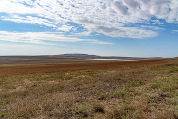 The endless steppe of the Opuksky nature reserve with yellow grass in cloudy weather with clouds on the sky, shot during the season of golden autumn. Yellow-golden-brown color.