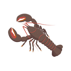 Lobster vector illustration in flat design isolated on white background.