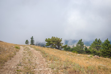 Ai-petri mountain in the fog. High mountain. Crimea. Russian mountains. Low clouds. Beautiful mountain landscape. The famous AI Petri mountain, partially covered with clouds, fog