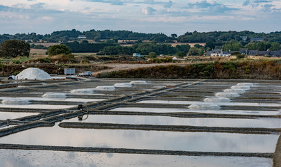 Fototapeta na wymiar Salt evaporation pond in Salterns of Guerande, France