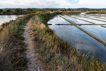 Fototapeta na wymiar path between salt evaporation pond in Salterns of Guerande, France