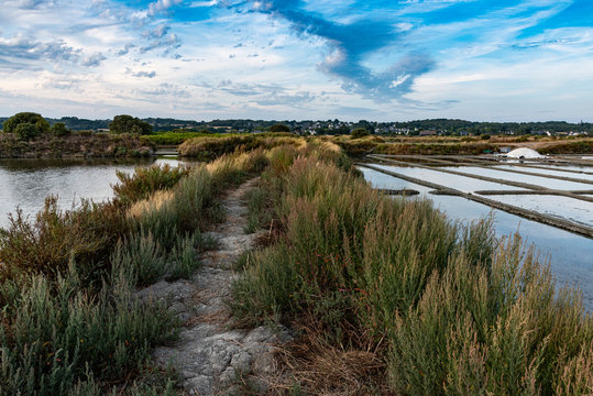 path between salt evaporation pond in Salterns of Guerande, France