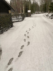 A chain of boot tracks running one way through the wet snow on a deserted road along a village fence