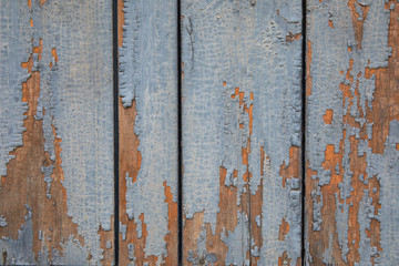 rustic wood painted blue colour background