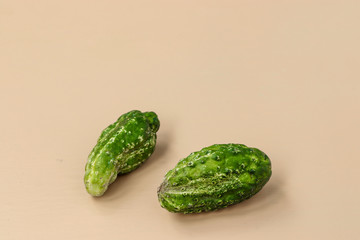 Trendy two ugly organic cucumders on light background, horizontal orientation