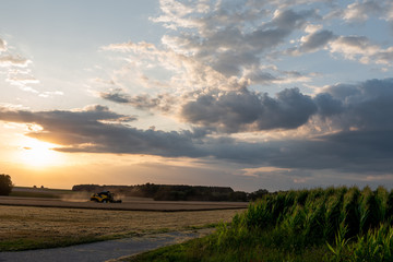 Fototapeta premium Abendhimmel mit Wolken mit Mähdrescher bei der Erntearbeit auf Getreidefeld und Maisfeld am Bildrand