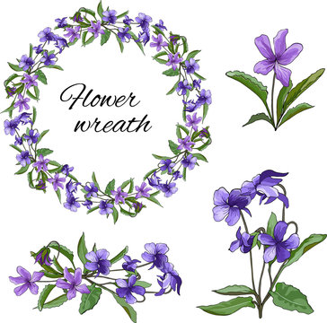 Set of violet purple flowers on a light background. Floral wreath of violets. For wallpaper, textile design. Viola mirabilis. Viola odorata