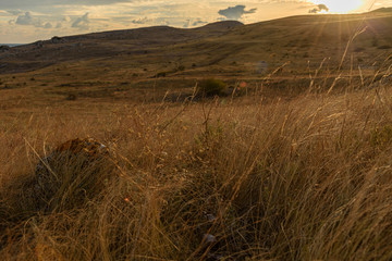 Dawn on a mountain in the steppe of the Opuksky nature reserve with yellow grass, with clouds on the sky, shot during the season of golden autumn. Yellow-golden brown.