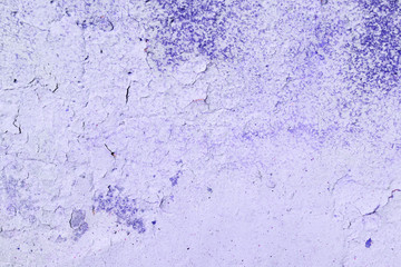 Old painted wall of purple color texture close up. Abstract background