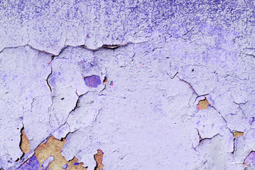 Old painted wall of purple color texture close up. Abstract background
