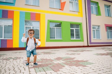 Back to school. Happy smiling boy in glasses is going to school for the first time. Child with backpack and book outdoors. Beginning of lessons. First day of fall.