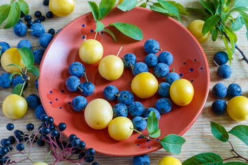 Ripe wild berries of elderberry, cherry plum, Prunus spinosa on a red plate on a wooden background.