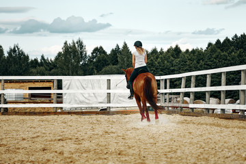girl rider on horseback. horseback riding.