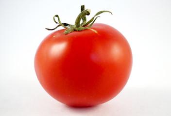 one red tomato close-up on a white background