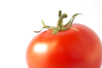 one red tomato close-up on a white background