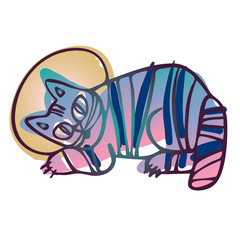 Основные RGB