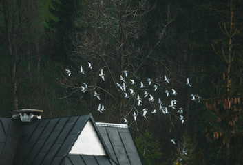 Fototapety na wymiar - Fototapeta24.pl