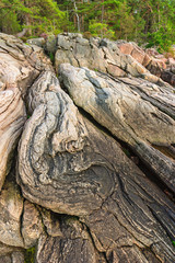 Rock formations with pattern at a forest