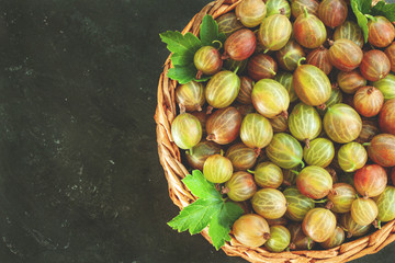 Fresh gooseberries in wicker basket
