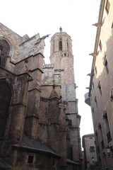 Cathédrale Sainte-Croix à Barcelone, Espagne