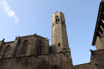 Fototapeta na wymiar Cathédrale Sainte-Croix à Barcelone, Espagne 